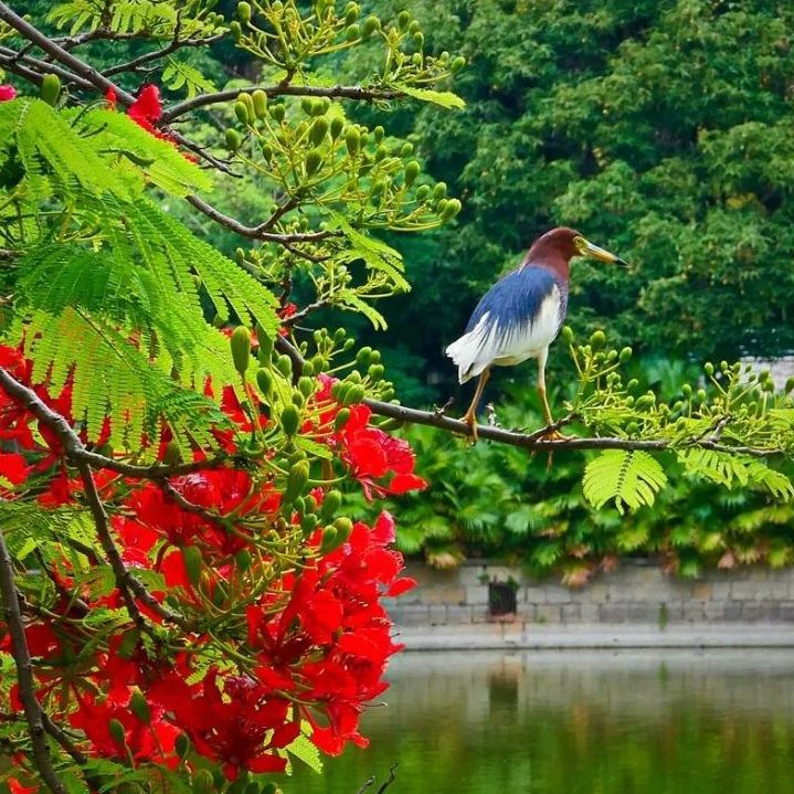 初夏吃什么好？